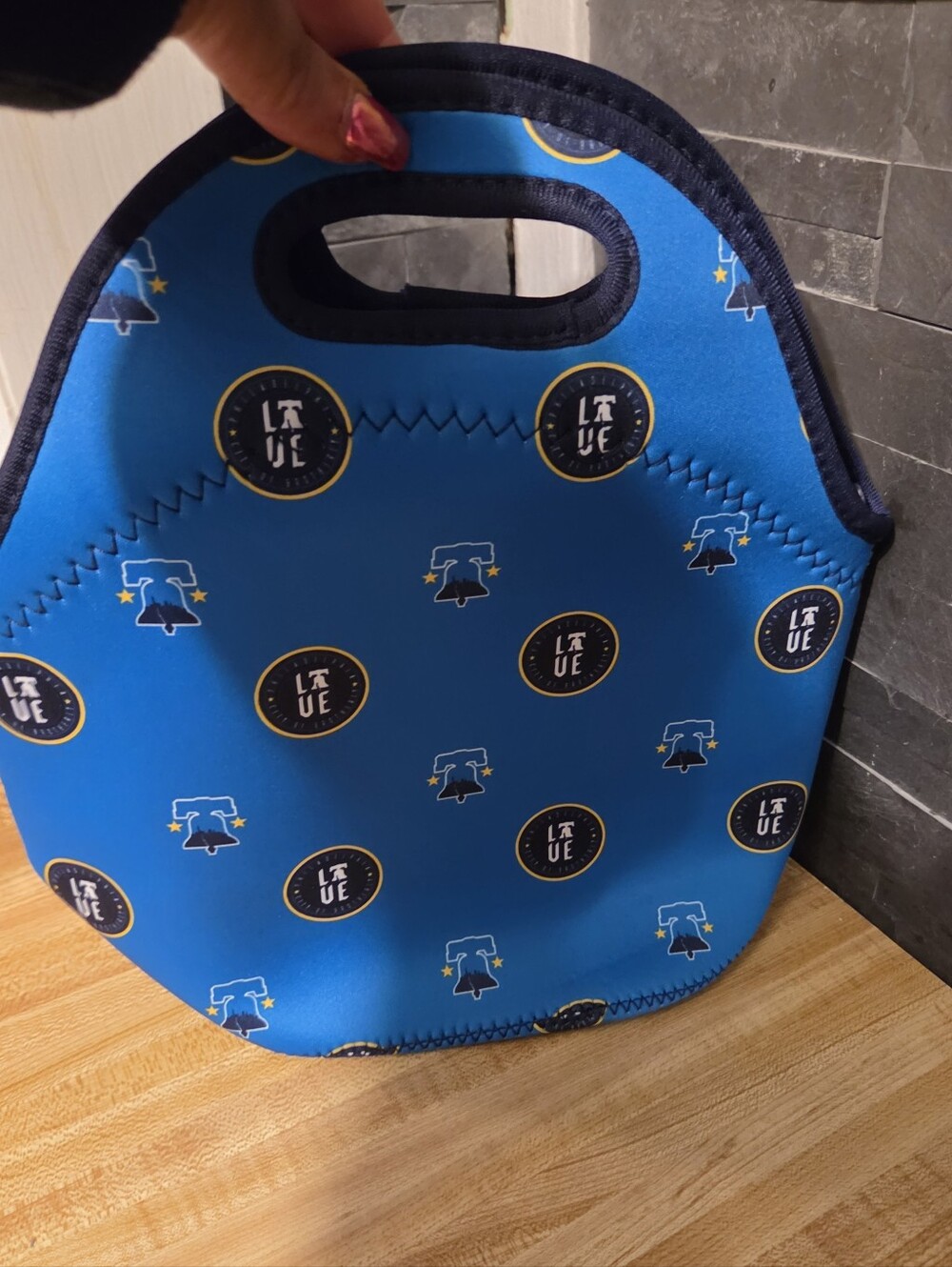 Philadelphia Phillies Insulated Bag NWOT